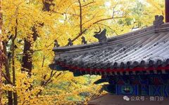 Traditional Chinese Medicine's Effective Formula for Treating Spleen and Stomach Yang Deficiency!