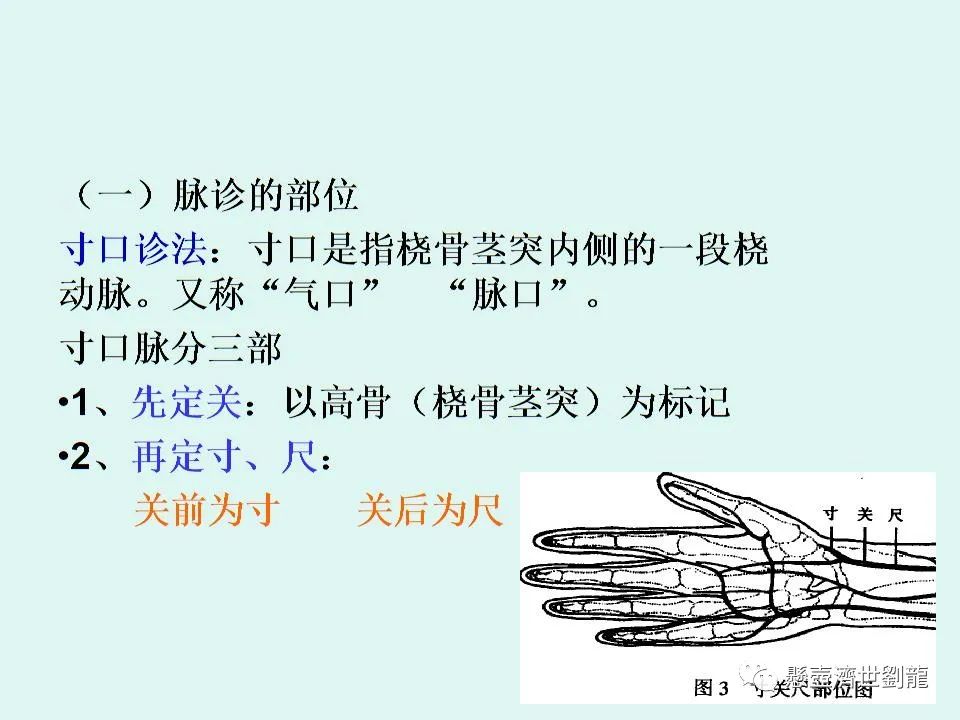 Pulse Diagnosis in Traditional Chinese Medicine
