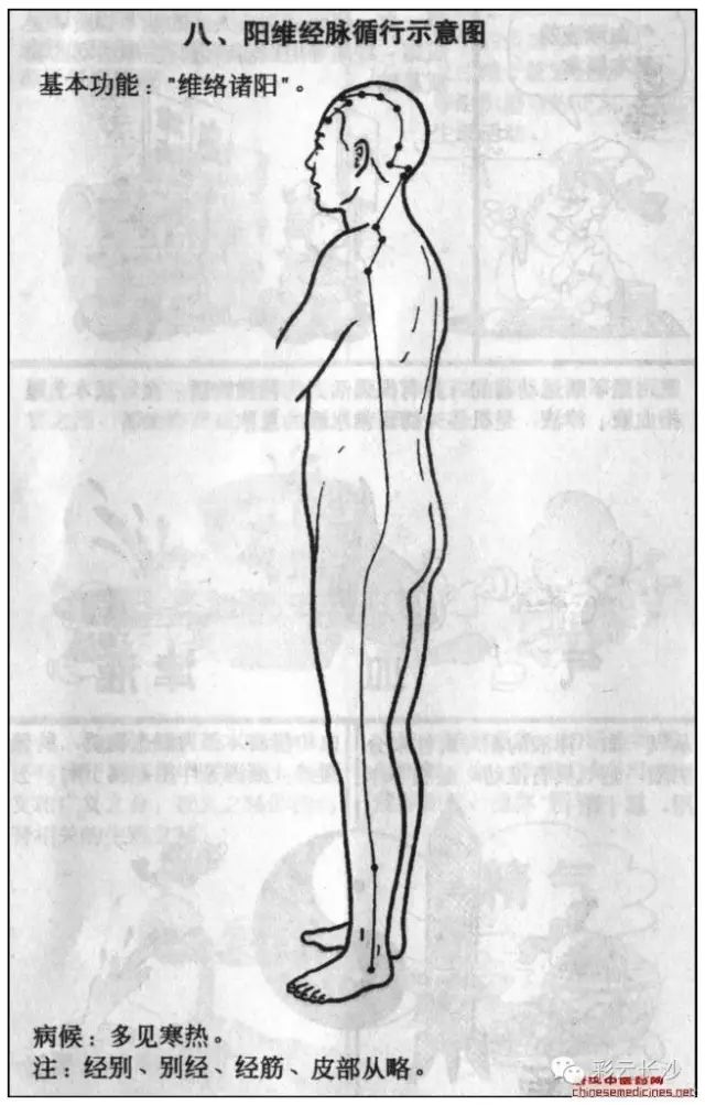 Classic Acupuncture Points: The Eight Extraordinary Meridians