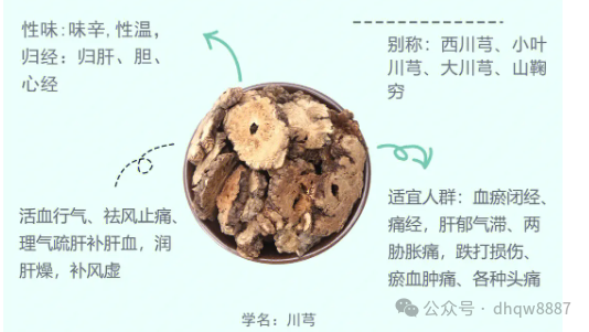 The Efficacy and Contraindications of Chuanxiong (Ligusticum chuanxiong)