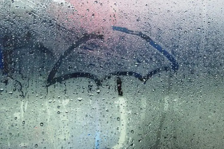 Eliminating Dampness: Tips to Strengthen the Spleen and Assist Yang, Banish Excess "Dampness"