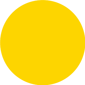 Nourishing a Warm Constitution After the Summer Solstice: Dietary Recommendations for Spleen and Stomach Deficiency with Cold Dampness