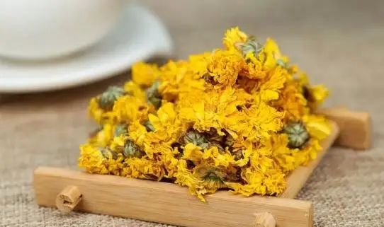 The "Golden Partner" of Danshen: Regular Consumption May Promote Blood Circulation and Dissolve Thrombus