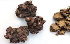 Analysis of Chuanxiong (Ligusticum chuanxiong) in Traditional Chinese Medicine