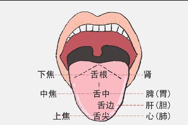 No More Worries About Liver Qi Stagnation! TCM Can Help You Relieve Your Concerns!