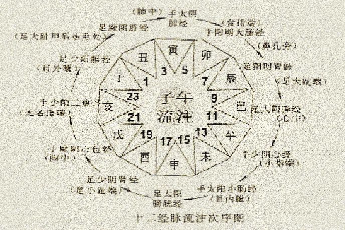 The Pathways, Connections, and Flow of Qi and Blood in the Twelve Meridians