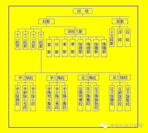 The Twelve Skin Areas: Jing Bie, Luo Mai, Jing Jin, and the Skin