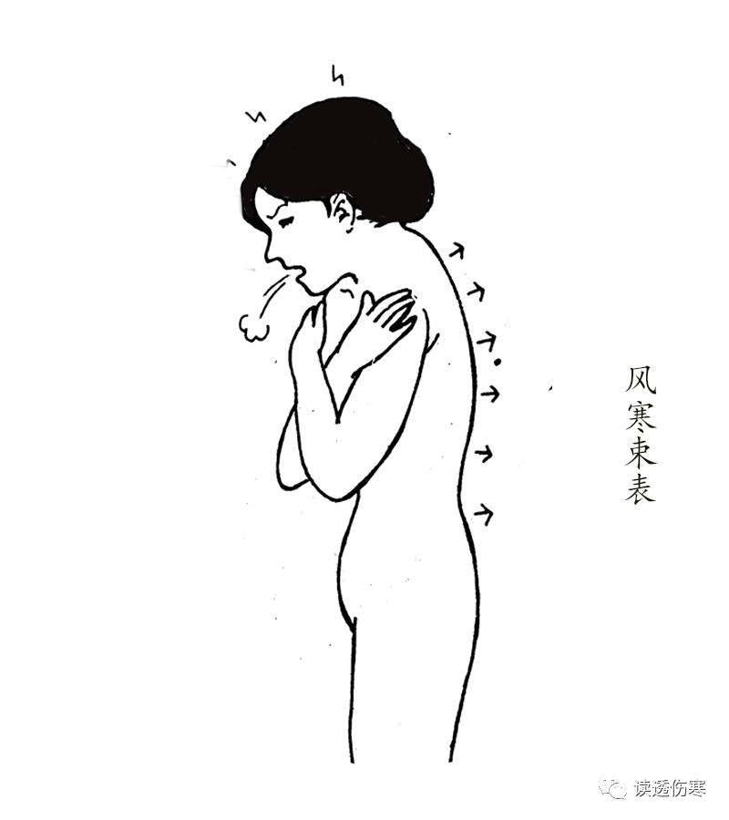 Are You Suffering from Wind-Cold or Wind-Heat Cold? If You Can't Distinguish, Use This!