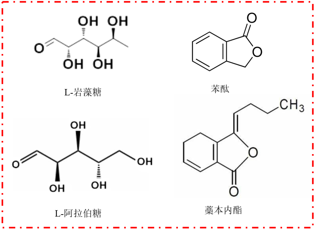 Understanding Angelica Sinensis: A Comprehensive Overview
