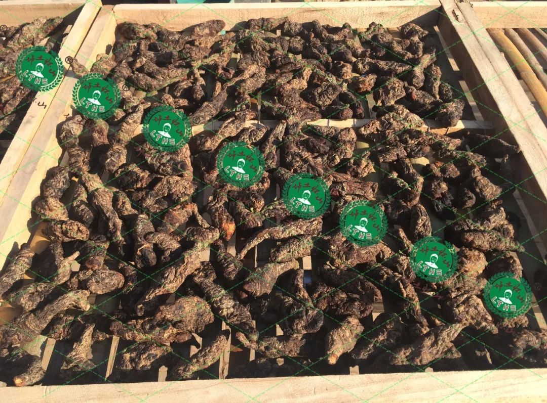 The Benefits of Nine Steams and Nine Sun Dried Rehmannia: Nourishing Essence and Blood, and Supporting the Five Organs