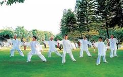 Practical Tai Chi Training Tips from Experienced Practitioners