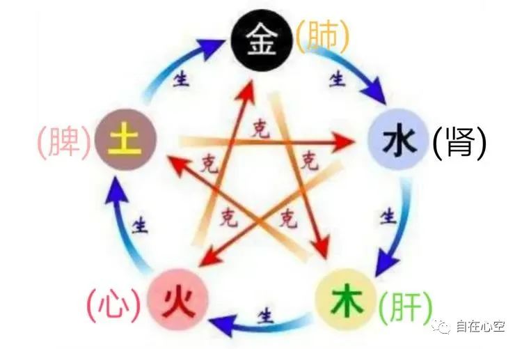 The Relationship Between the Five Organs, Six Bowels, and Twelve Meridians