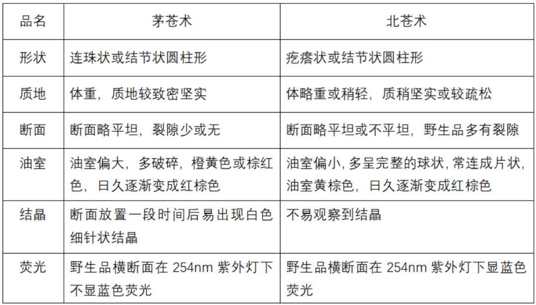The Sacred Herb for Strengthening the Spleen: Cang Zhu