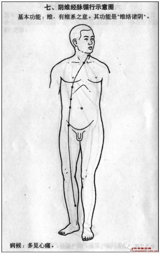 Classic Acupuncture Points: The Eight Extraordinary Meridians