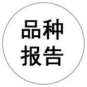 Why Has the Price of Cang Zhu (Atractylodes) Rebounded?