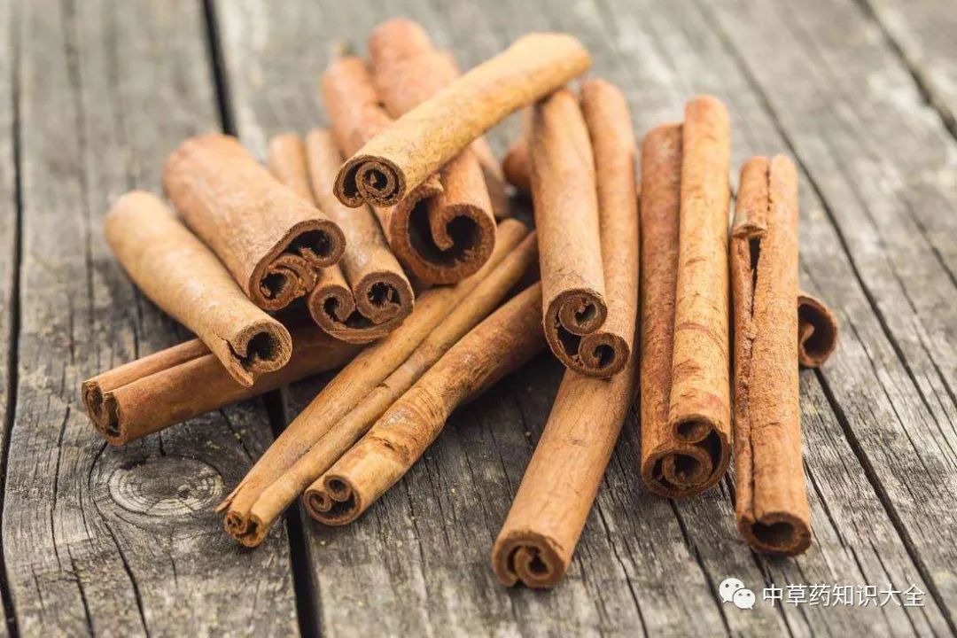 Traditional Chinese Medicine Knowledge | Cinnamon (Ròu Guì)