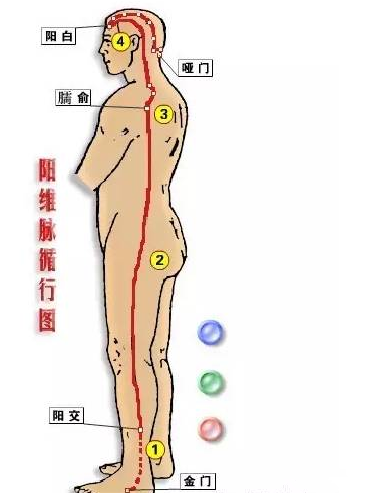 Comprehensive Summary of the Eight Extraordinary Meridians and Their Functions