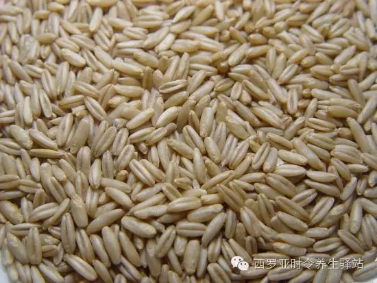 Health Benefits of the Five Grains
