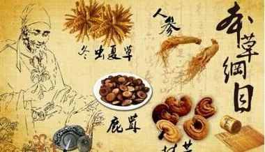 The Inheritance of Ma School of Traditional Chinese Medicine: New Perspectives on Supporting the Right Qi and Expelling Pathogenic Factors