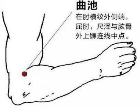 Identifying TCM Constitutions for More Accurate Regulation