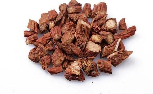 Dan Shen: A Herb for Activating Blood Circulation and Alleviating Pain