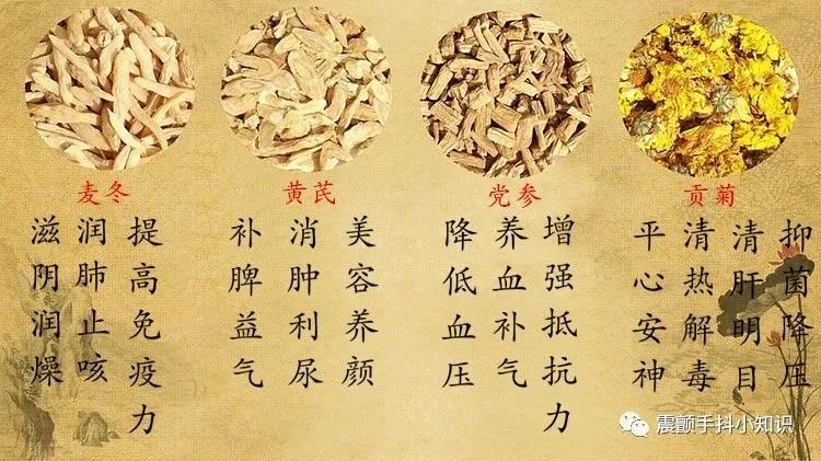 Understanding Qi Supplementation and Lung Nourishment in Traditional Chinese Medicine