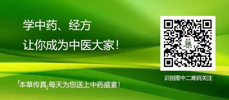 Understanding the Therapeutic Properties of Huang Lian (Coptis chinensis)