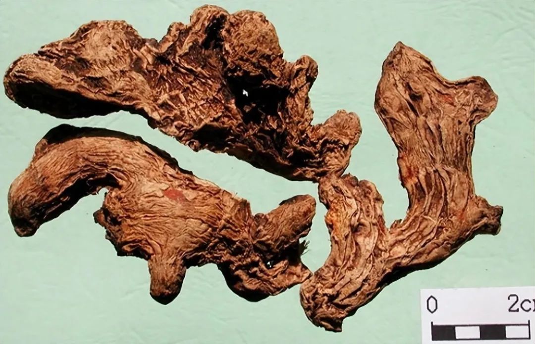 Identification of Dried Ginger (Gan Jiang)