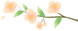 Spring Equinox: Balancing Yin and Yang for Health
