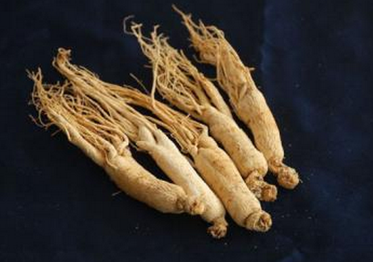 The Efficacy and Distinguishing Features of Codonopsis and Its Clinical Applications