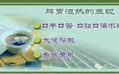 Symptoms and Differentiation of Spleen and Stomach Damp-Heat