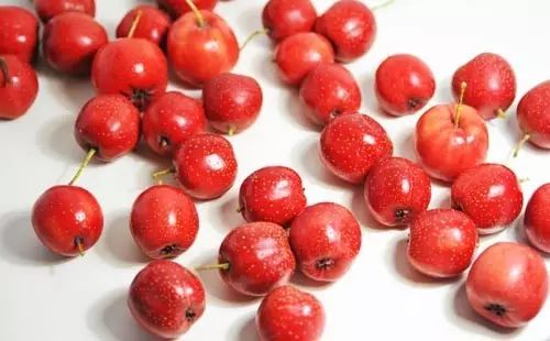 Understanding Different Constitutions in TCM: Qi Deficiency, Yang Deficiency, and Qi Stagnation