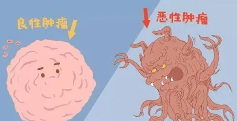 Traditional Chinese Medicine: Understanding Blood Deficiency, Blood Stasis, and Blood Turbidity - Symptoms and Nourishing Blood Techniques