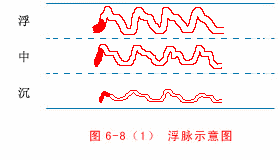 The Wonders of the Twenty-Eight Pulses in Traditional Chinese Medicine: Understanding Pulse Diagnosis (Part 1)