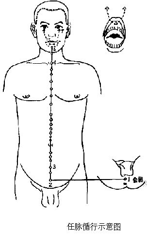 The Concept and Physiological Characteristics of the Eight Extraordinary Meridians