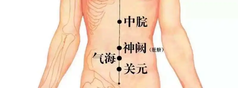 Understanding Health Preservation in Traditional Chinese Medicine: Nourishing the Qi Deficiency Constitution