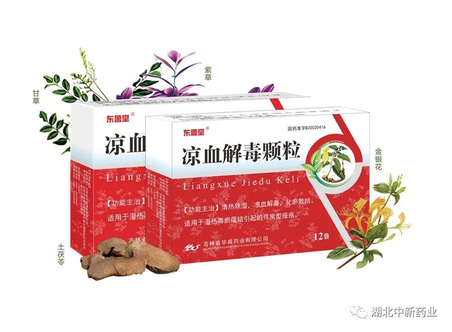 Effective Methods to Eliminate Dampness with Four Traditional Chinese Herbs