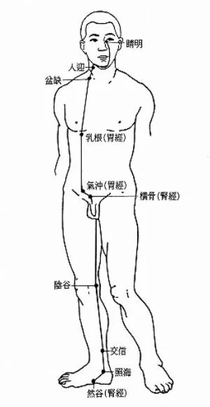 Liu Lihong: Discussing Dao Yin and An Jiao