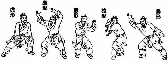 Traditional Chinese Medicine Health Preservation: The Amazing Art of Dao Yin, Simple Movements for Disease Prevention and Treatment