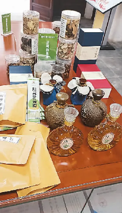 Chuan Xiong: The Premier Medicinal Herb of Sichuan