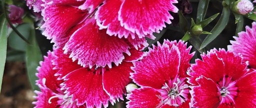 The Hidden World of Kidney Yang Deficiency and Kidney Yin Deficiency