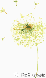 Weekend Digest | The Timeless Materia Medica