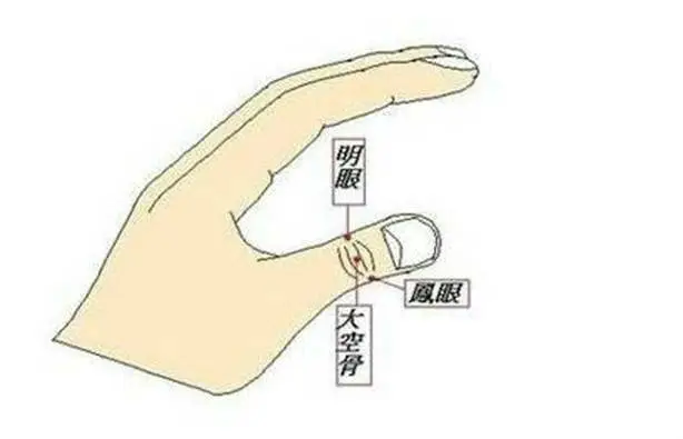 47 Unique Acupuncture Points Worth Seeing! (Collector's Edition)