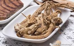 Angelica Sinensis: The 'Gynecological Holy Medicine' in Traditional Chinese Medicine for Women Aged 20-80!