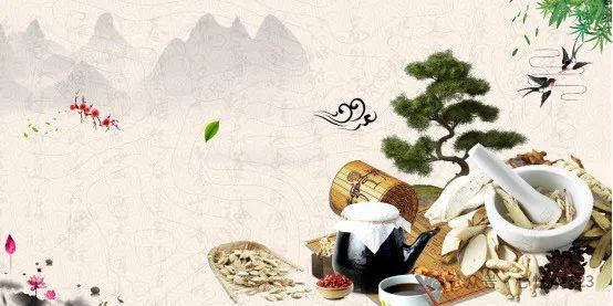 Nutritional Therapy: The Healing Power of Food