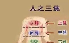 Humidity and Heat in the Lower Body: 6 Chinese Patent Medicines to Clear Damp-Heat and Refresh Your Body