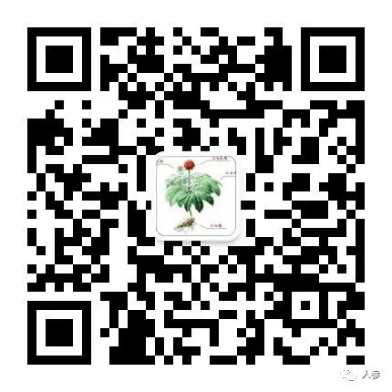 Ginseng: The Most Comprehensive and Fastest Qi Tonic