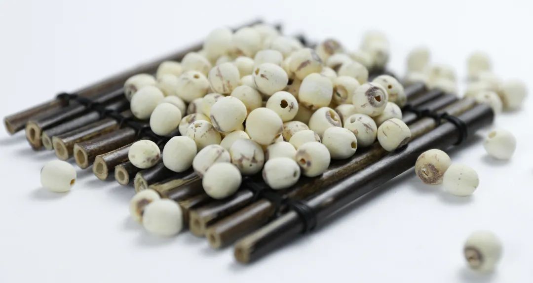 How to Cultivate Coix Seed (Yi Yi Ren)