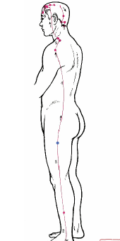 Understanding the Eight Extraordinary Meridians in TCM