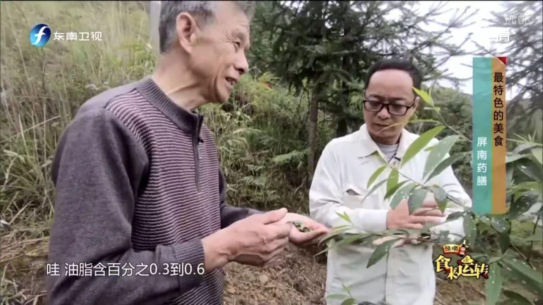 Health from a Bowl of Medicinal Cuisine: The Unique Heritage of Qinnan's Millennia-Old Medicinal Dishes